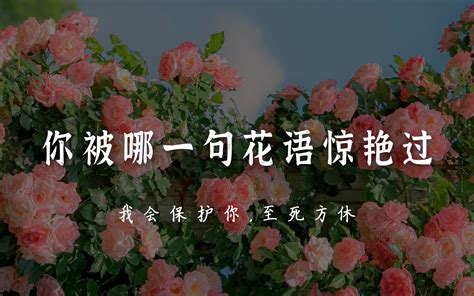 相配|English translation of 相配